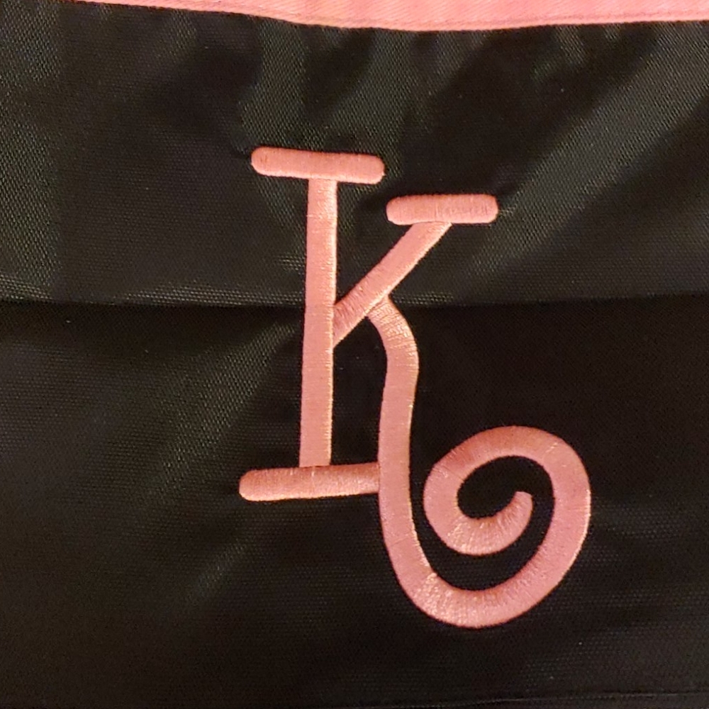 Insulated lunch bag